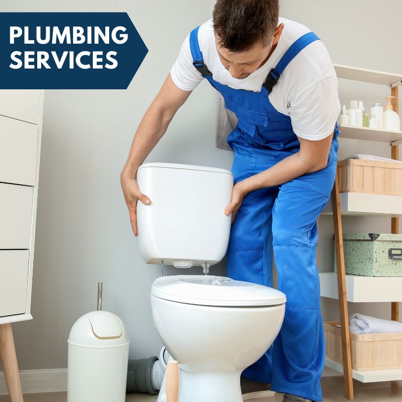 Plumbing Company in Fenwick, MI